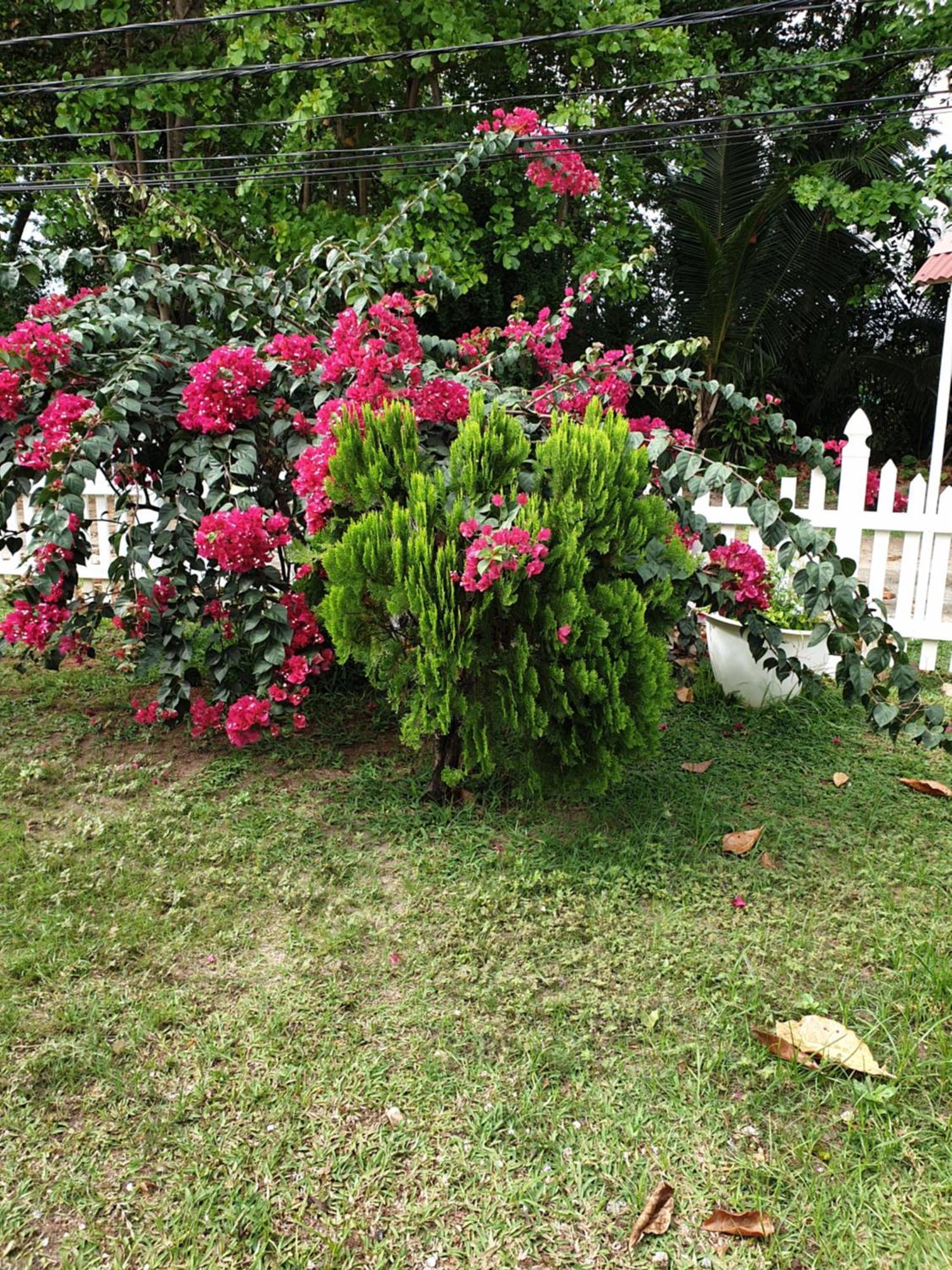 Villa Authentique La Digue Eksteriør bilde